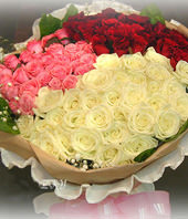 99 roses with 3 color and Top class