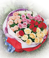 33 Roses with five color