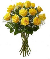 A dozen yellow roses arrive perfectly arranged