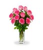 12 Long Stemmed Pink Roses in a Bouquet