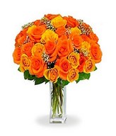 36 Long Stem Orange Roses in a Bouquet