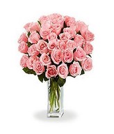 Bouquet of 36 Long Stem Pink Roses