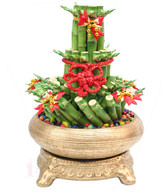 FENGSHUI PLANTS,GONG XI FA CAI PLANTS,Wealth opened games bamboo.40CMX30CM