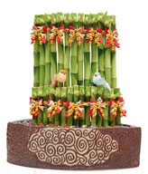FENGSHUI PLANTS,GONG XI FA CAI PLANTS,Wealth opened games bamboo. 30CMX30CM