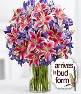 Premium Joyful Bouquet