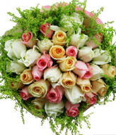 11 pink roses, 11white roses, 11 champagne roses 