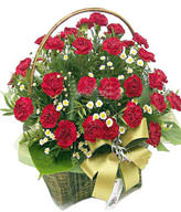 Red carnation 36, the serissa fetida is plentiful, the green leaf is plentiful，Basket included