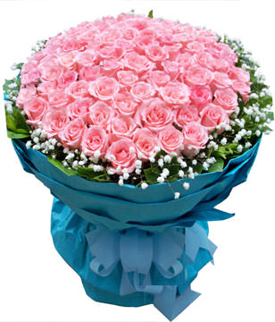 99 pink roses