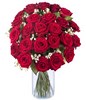 24 premium red roses with gypsophila and matching greenery