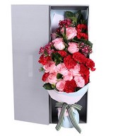 11 Diana Roses and 11 Red Carnations in a Box