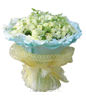 99white Roses with green foliages