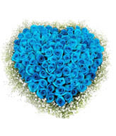 99 blue roses around baby's breath,this is heart shape