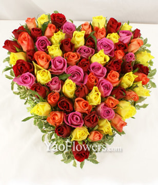 66 multi coloured roses