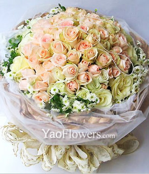 66 champagne roses,Pearl decoration