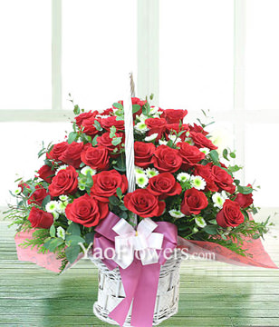 66 red roses, aster, with basket 
