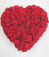 99 red roses,heart-shaped