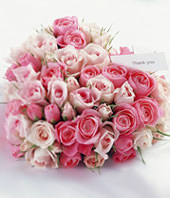 66 Pink Rose in Heart-Shaped