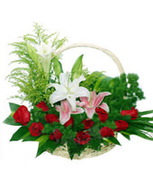 12 Red Roses,White Lily,Pink Lily,Brazil