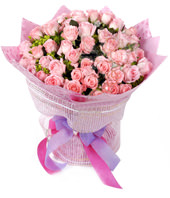 99 Pink roses with rich green foliages