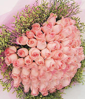 66 pink roses