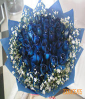 36 blue roses with FORGET-ME-NOT