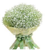 baby's breath packed in perfectly round