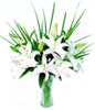 5 White(pink) Lilium with baby's breath