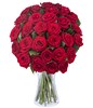 Love and Fantasy: 30 Red Roses