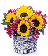 Basket: Sunflowers, limonium, alstroemeria