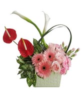 Arrangement of red anthurium, pink roses and gerbera, combine with white lilies and greenies in vase