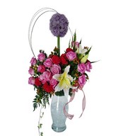 Pink Roses, Purple Alium and filler in vase