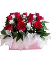 12 Red Roses with Baby Breath  in a Box