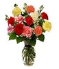 12 Assorted Carnations