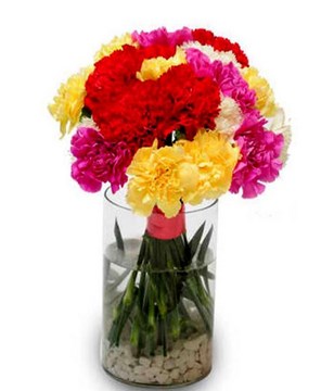 20 Assorted Carnations