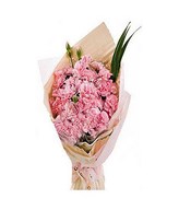 22 pink carnations and greens