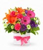 Mixed Seasonal Flowers in a vase