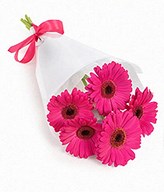 6 pink gerberas bouquet