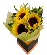 Bouquet of 3 sunflowers