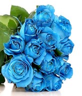 Hand Bouquet of 12 Blue Roses