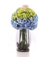 1 stalk of pink Roses and Hydrangeas in a Glass Vase