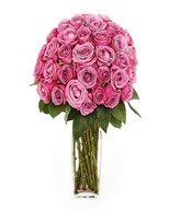 3 Dozen of Pink Roses in a Vase