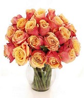 20 stem of Two Tone Roses in a Vase