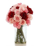 2 Dozen of Red and Pink Roses in a glass Vase