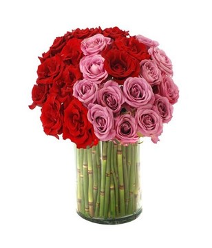 3 Dozen of Red and Purple Roses in a Vase