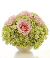 Pink roses and hydrangea in a vase