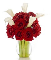 Red Roses and White Lilies in a Vase