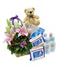Newborn gift set with Teddy Bear, baby wipes, feeding set and travel set
