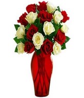 A bouquet of one dozen premium red and white roses with fillers