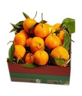 Basket of fresh oranges