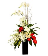 Flower arrangement with Phalaebnopsis Orchid, White roses, Anthurium, and fillers in a vase